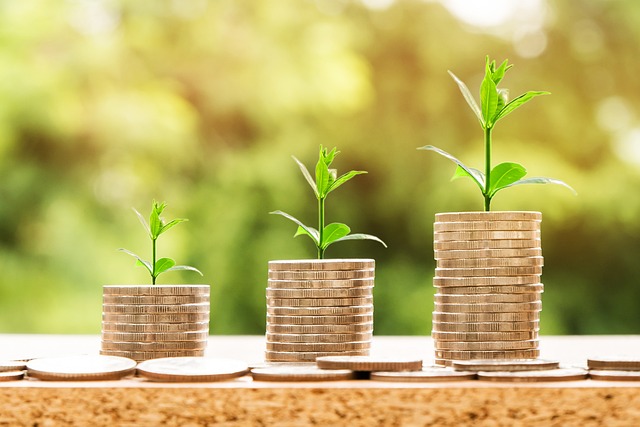 Finanzielle Freiheit durch moderne Portale entdecken